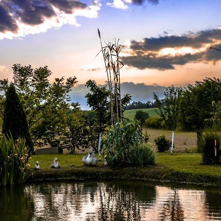 Restoran I Prenociste Egghus Hotel Nekcse Kültér fotó